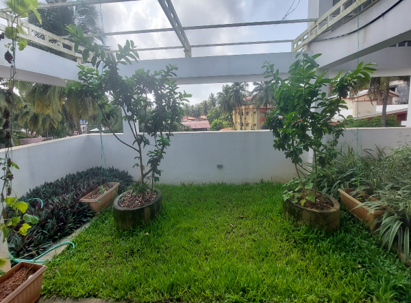 Terrace Garden Waterproofing-2
