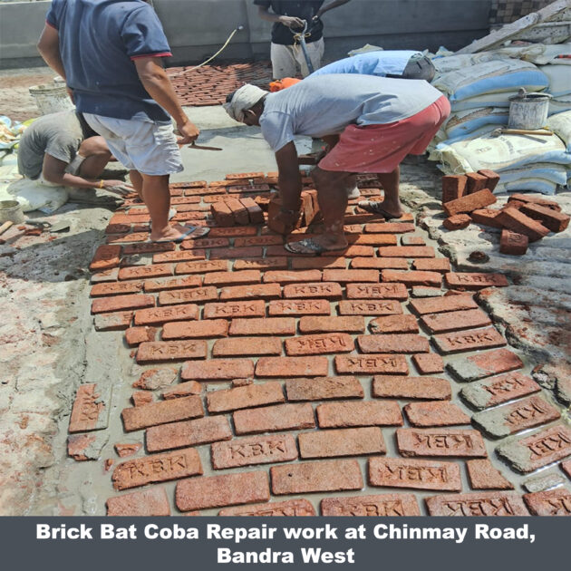 Brick Bat Coba Repair - Image 7