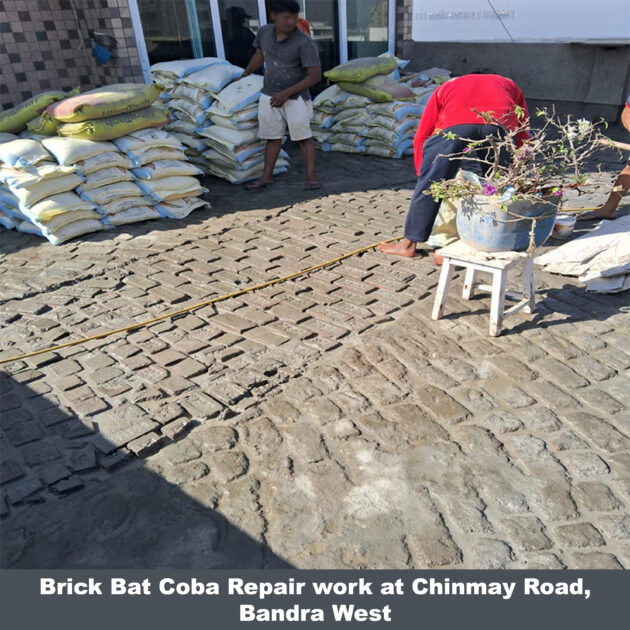Brick Bat Coba Repair - Image 5